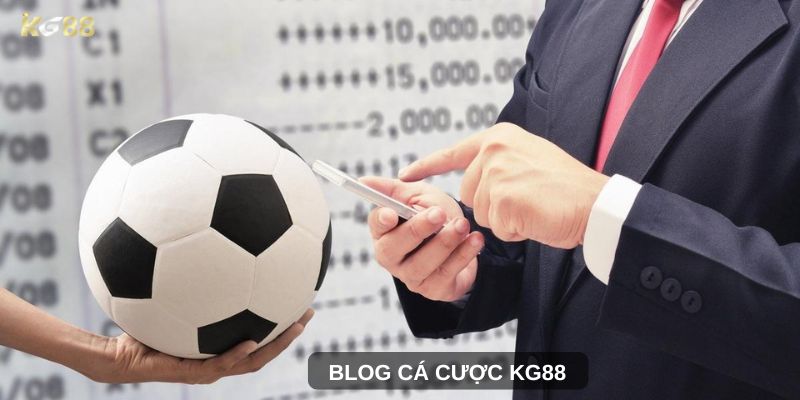 blog cá cược